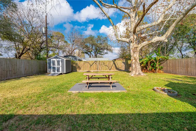 a view of a park with large tree