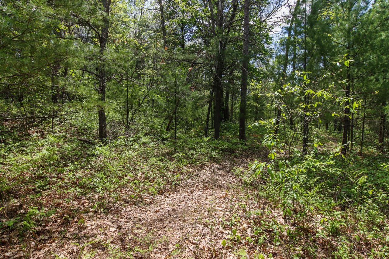 0 Brown Bridge Road Traverse City, MI 49696 - Photo 13 of 25