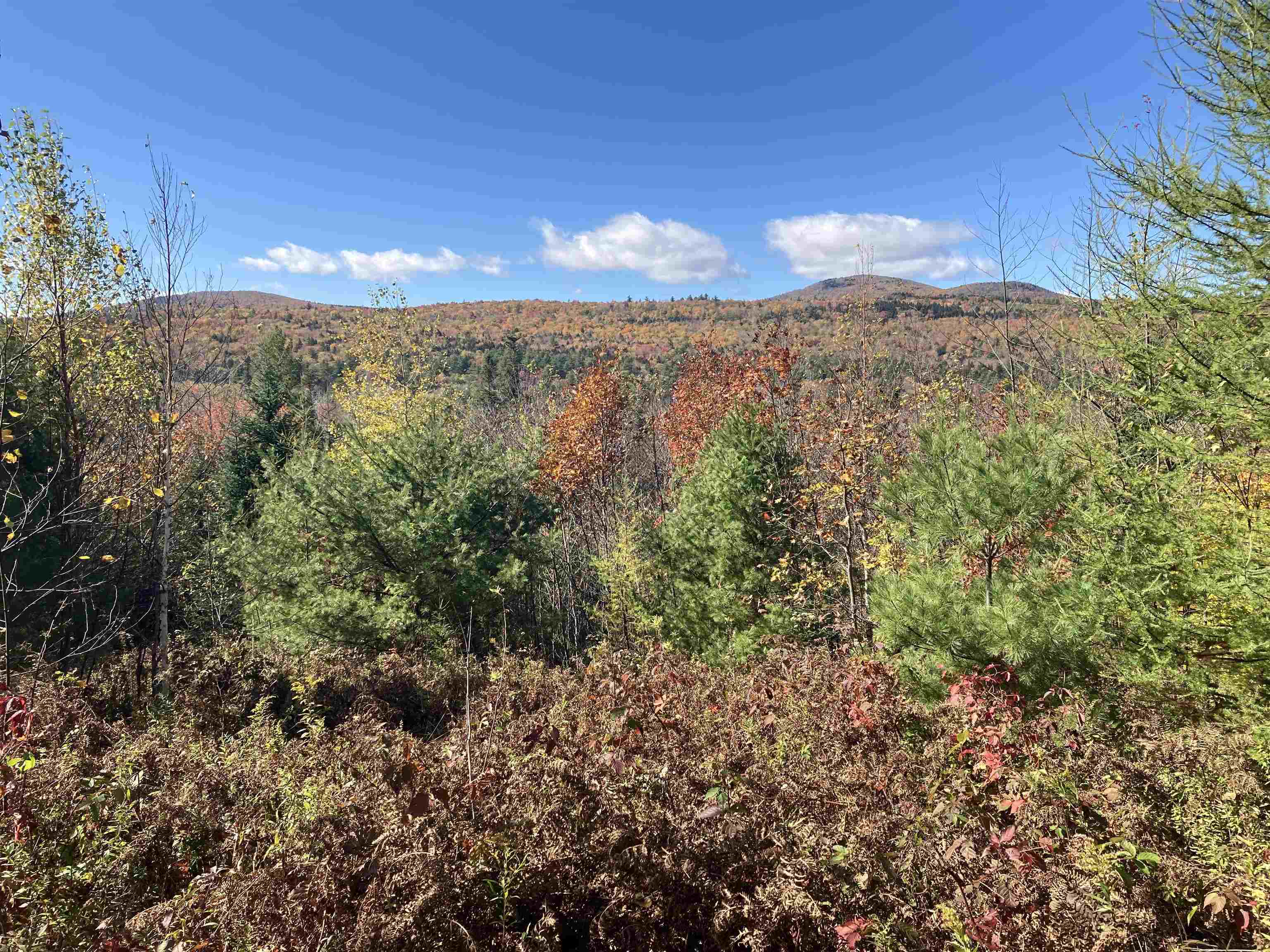 1047 Vermont Rte 100 Weston, VT 05161 - Photo 1 of 12