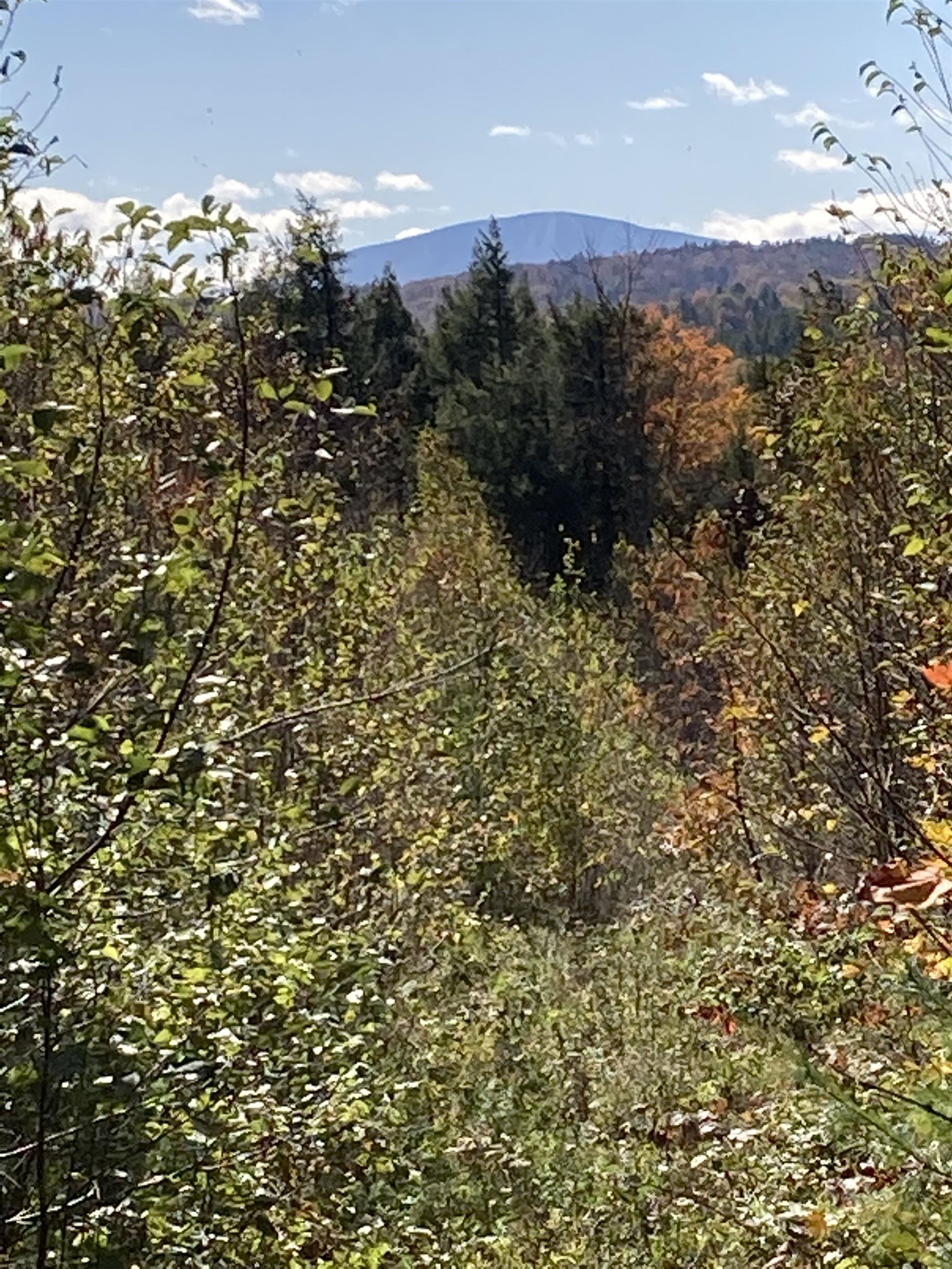 1047 Vermont Rte 100 Weston, VT 05161 - Photo 2 of 12
