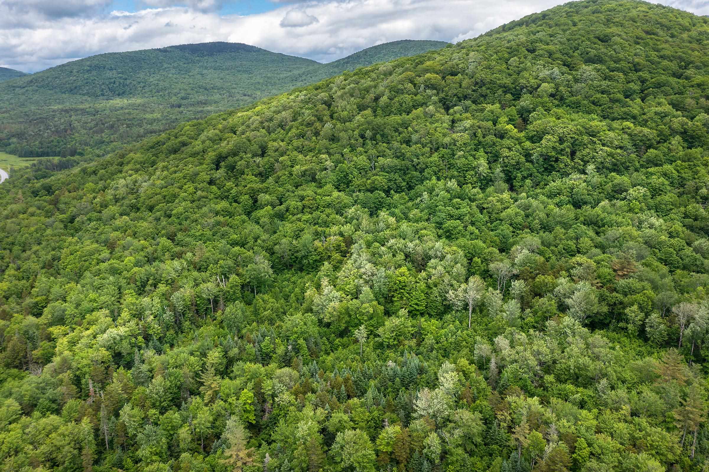 1047 Vermont Rte 100 Weston, VT 05161 - Photo 6 of 12