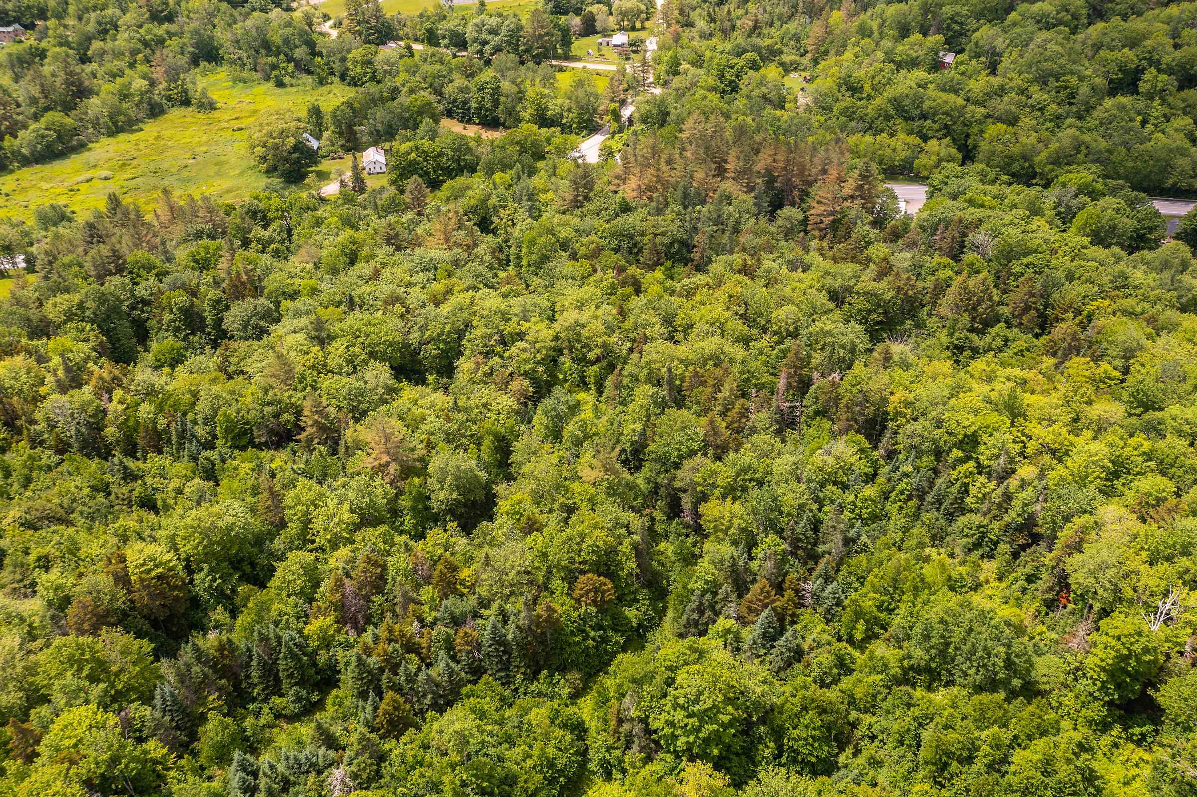 1047 Vermont Rte 100 Weston, VT 05161 - Photo 9 of 12