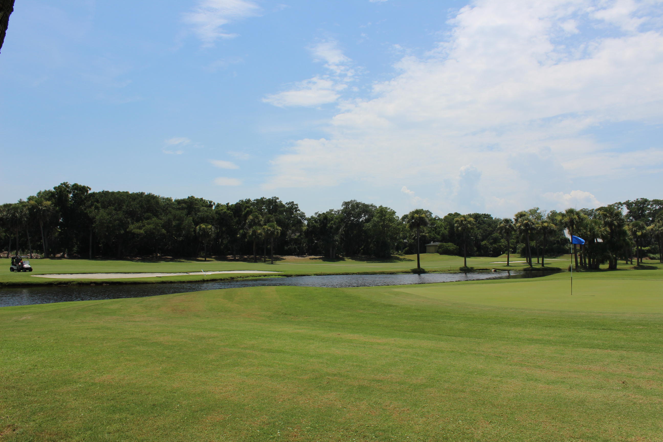 1 Club Cottage Road Edisto Island, SC 29438 - Photo 12 of 16 IMG_3949