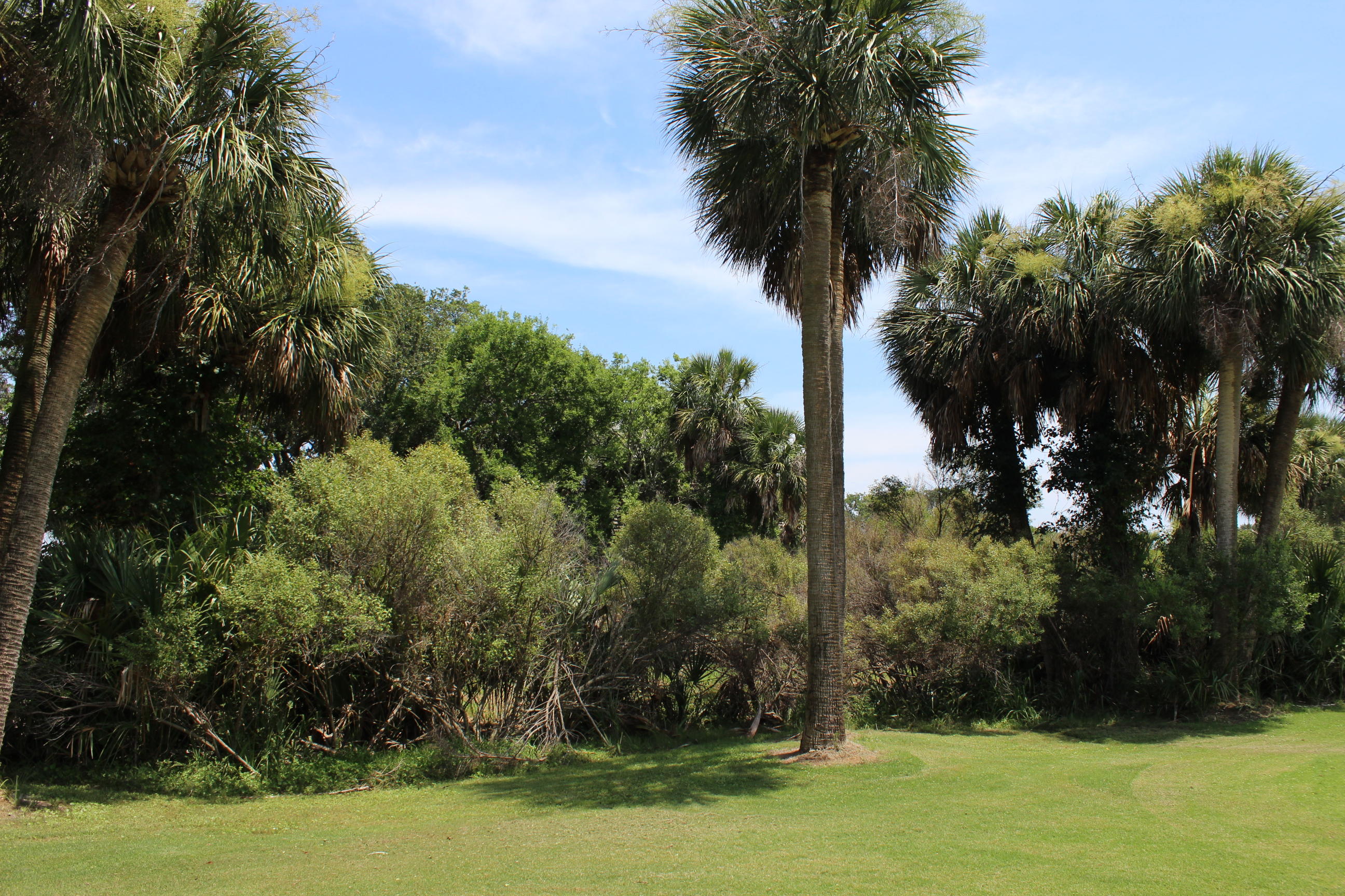 1 Club Cottage Road Edisto Island, SC 29438 - Photo 10 of 16 IMG_3948