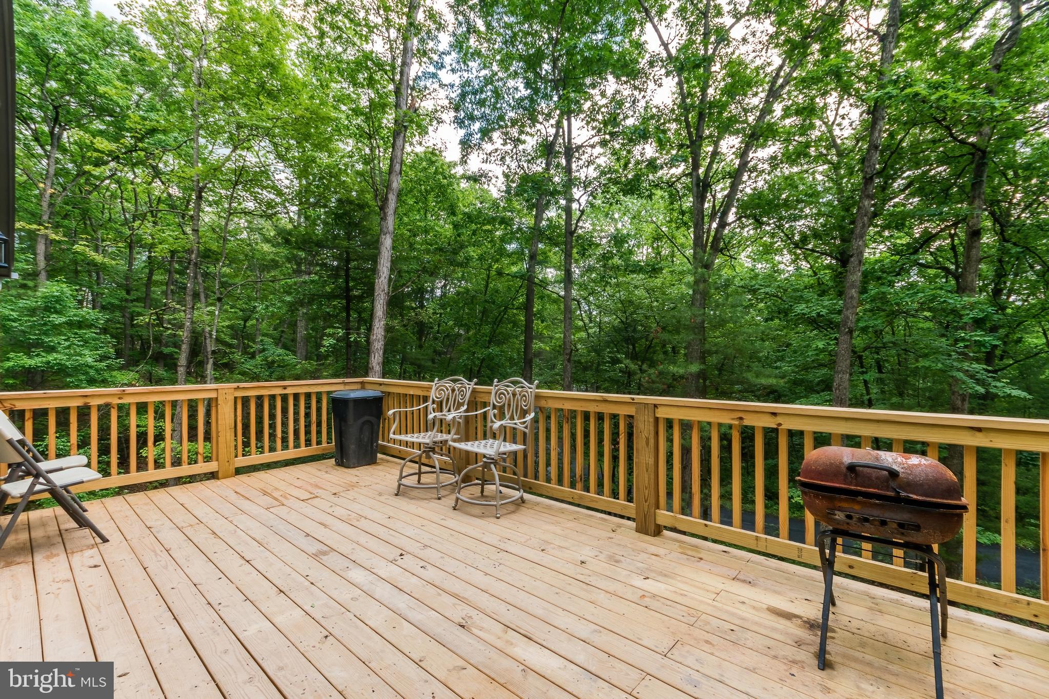 540 Sycamore Road Mount Jackson, VA 22842 - Photo 43 of 45