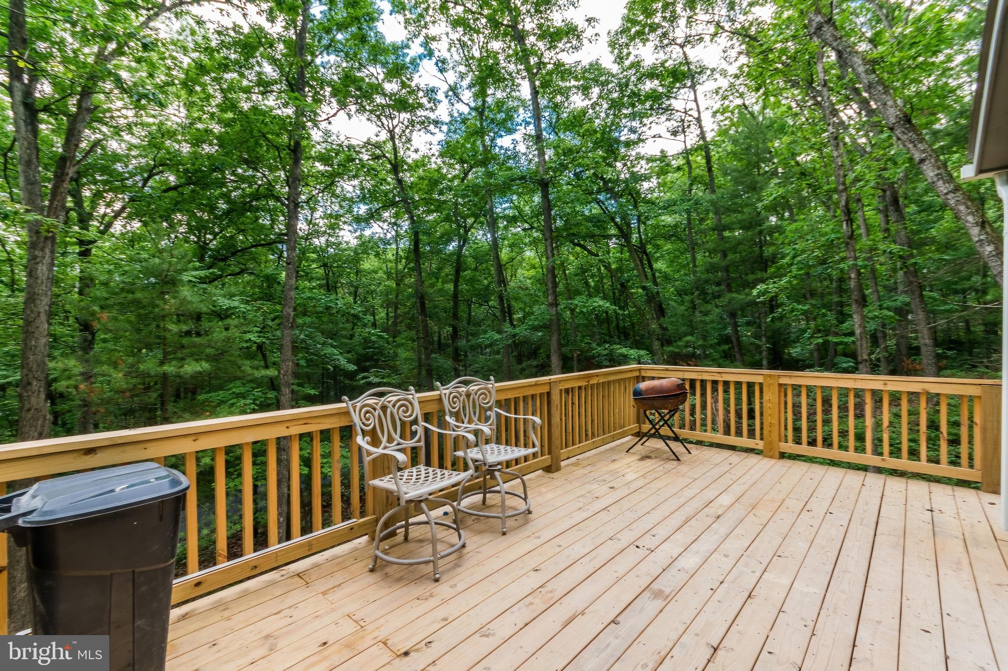 540 Sycamore Road Mount Jackson, VA 22842 - Photo 44 of 45