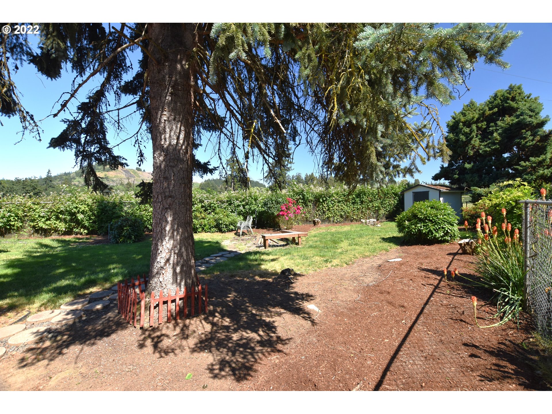 1629 Harbor Drive Springfield, OR 97477 - Photo 27 of 32 a view of yard
