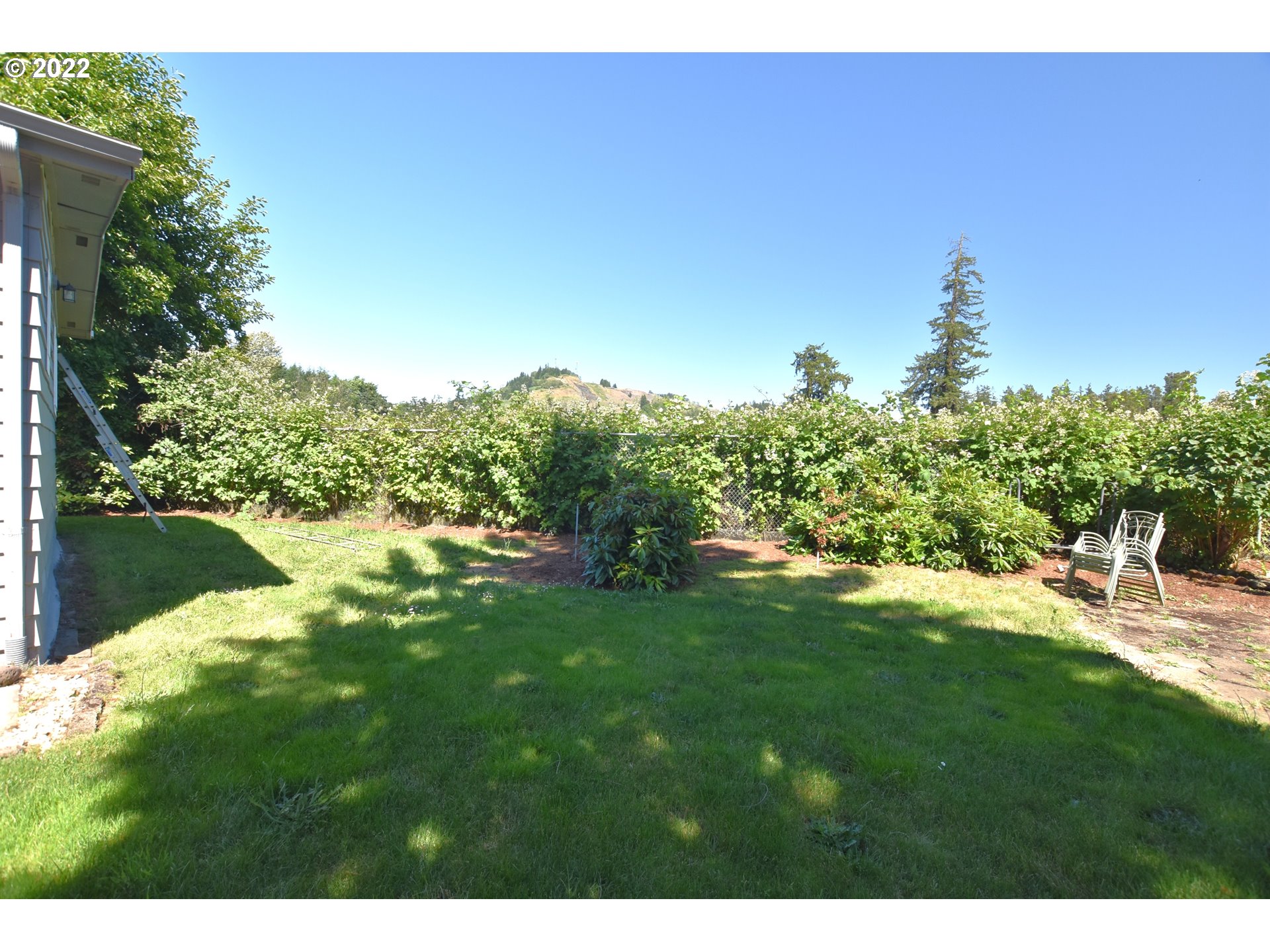 1629 Harbor Drive Springfield, OR 97477 - Photo 29 of 32 a backyard of a house with lots of green space