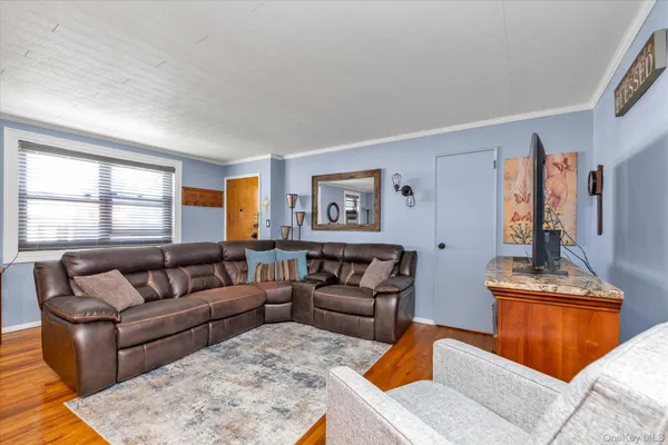 a living room with furniture a rug and a window