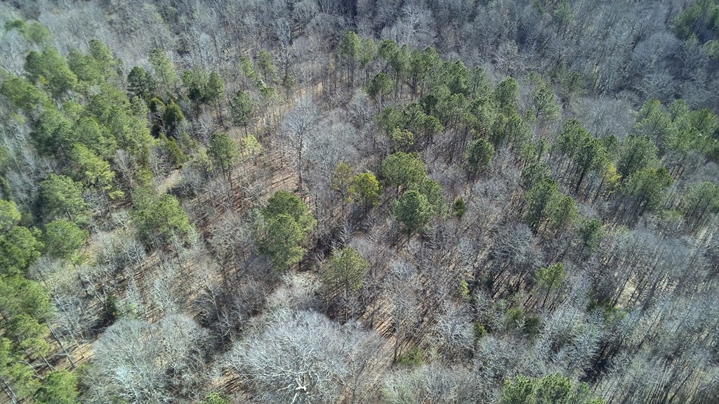 Lot 6 Boyds Mill Pond Road Laurens, SC 29360 - Photo 8 of 11