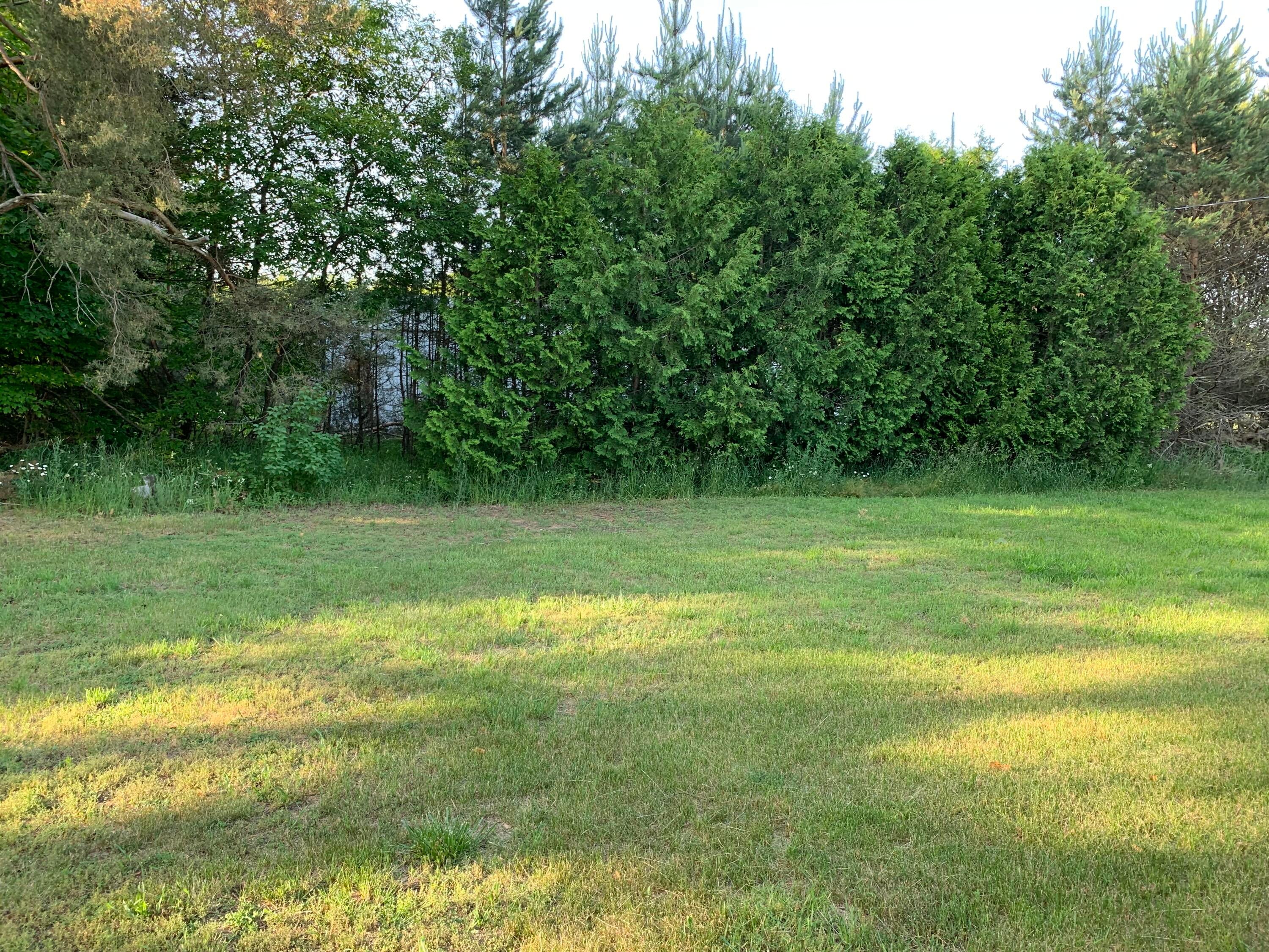 3600 Webb Road Wolverine, MI 49799 - Photo 20 of 28 Gallery Image 20