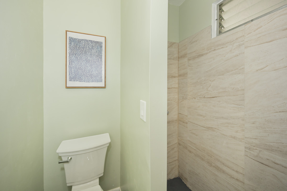 362 Kaiwiki Road Hilo, HI 96720 - Photo 20 of 30