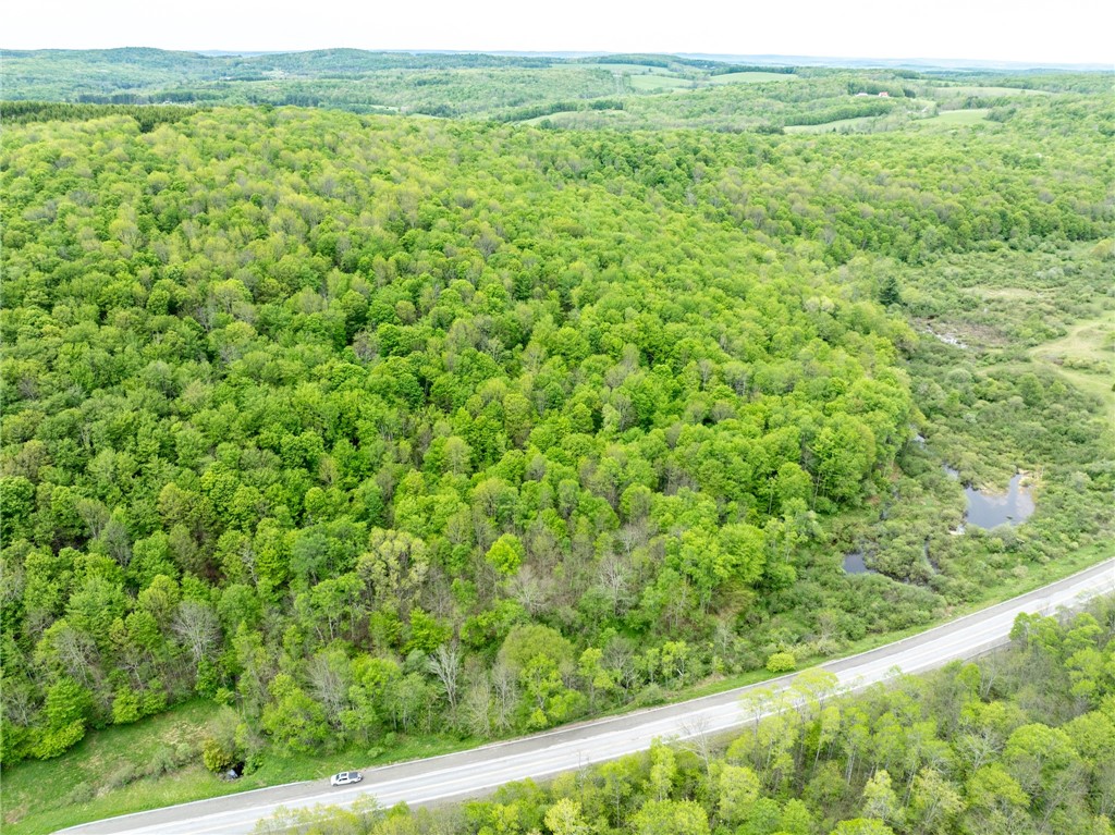 24 County Road New Berlin, NY 13411 - Photo 11 of 19