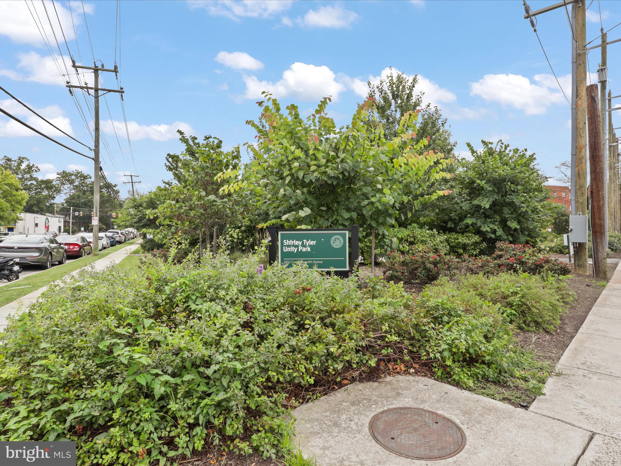 9 East Glebe Road, Unit C Alexandria, VA 22305 - Photo 33 of 38