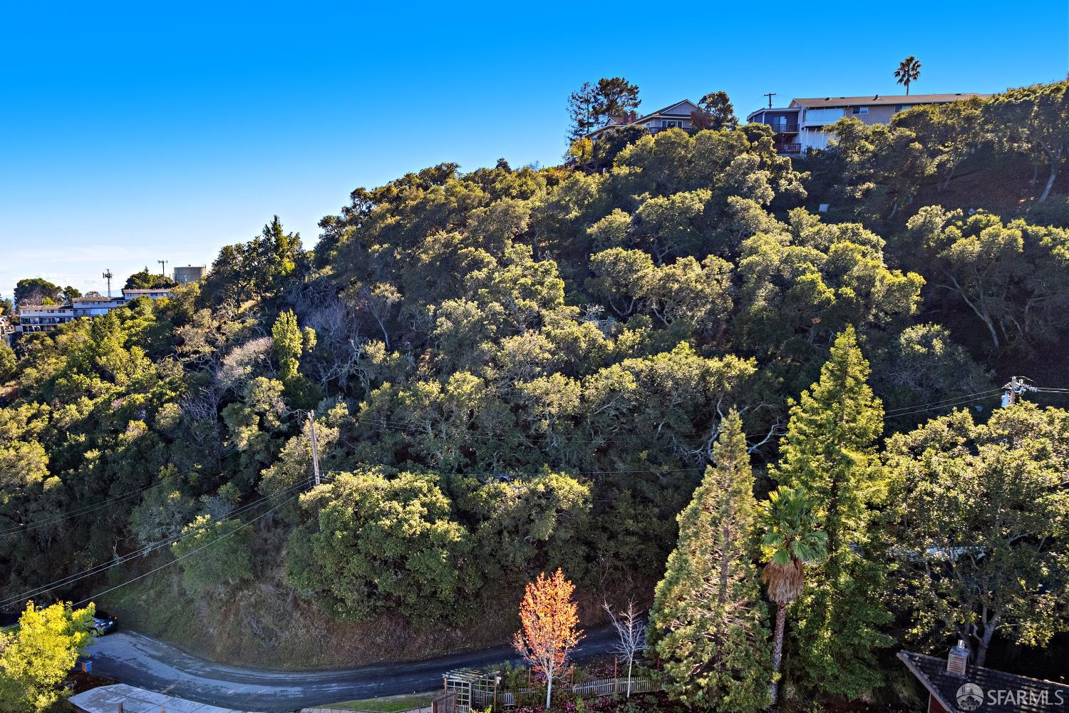 401 Winding Way San Carlos, CA 94070 - Photo 12 of 12 a view of a house