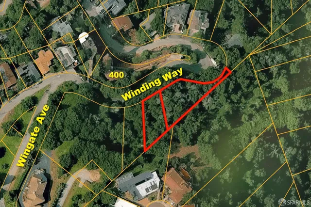 a picture of flowers