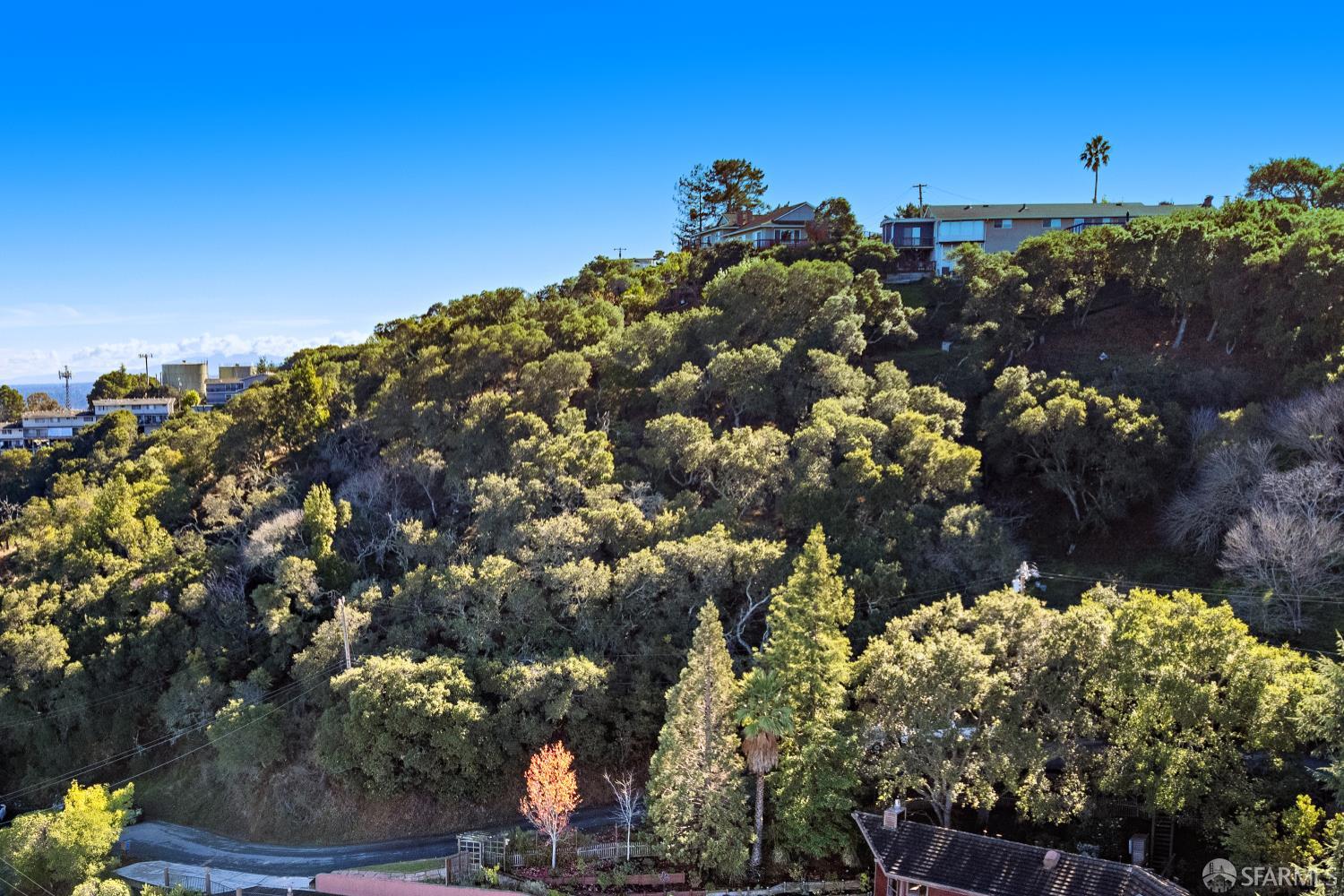 401 Winding Way San Carlos, CA 94070 - Photo 9 of 12 a view of a sky