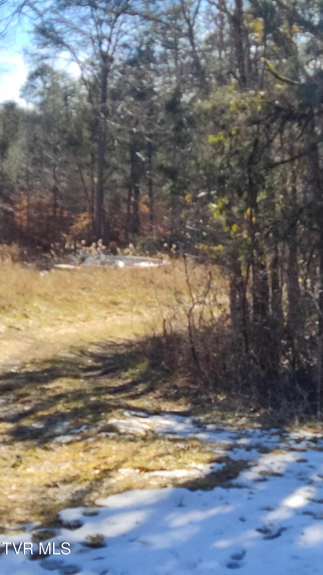 20-acres Dunville Gap Road Rutledge, TN 37861 - Photo 6 of 24 AccessIntoProperty1 - Copy