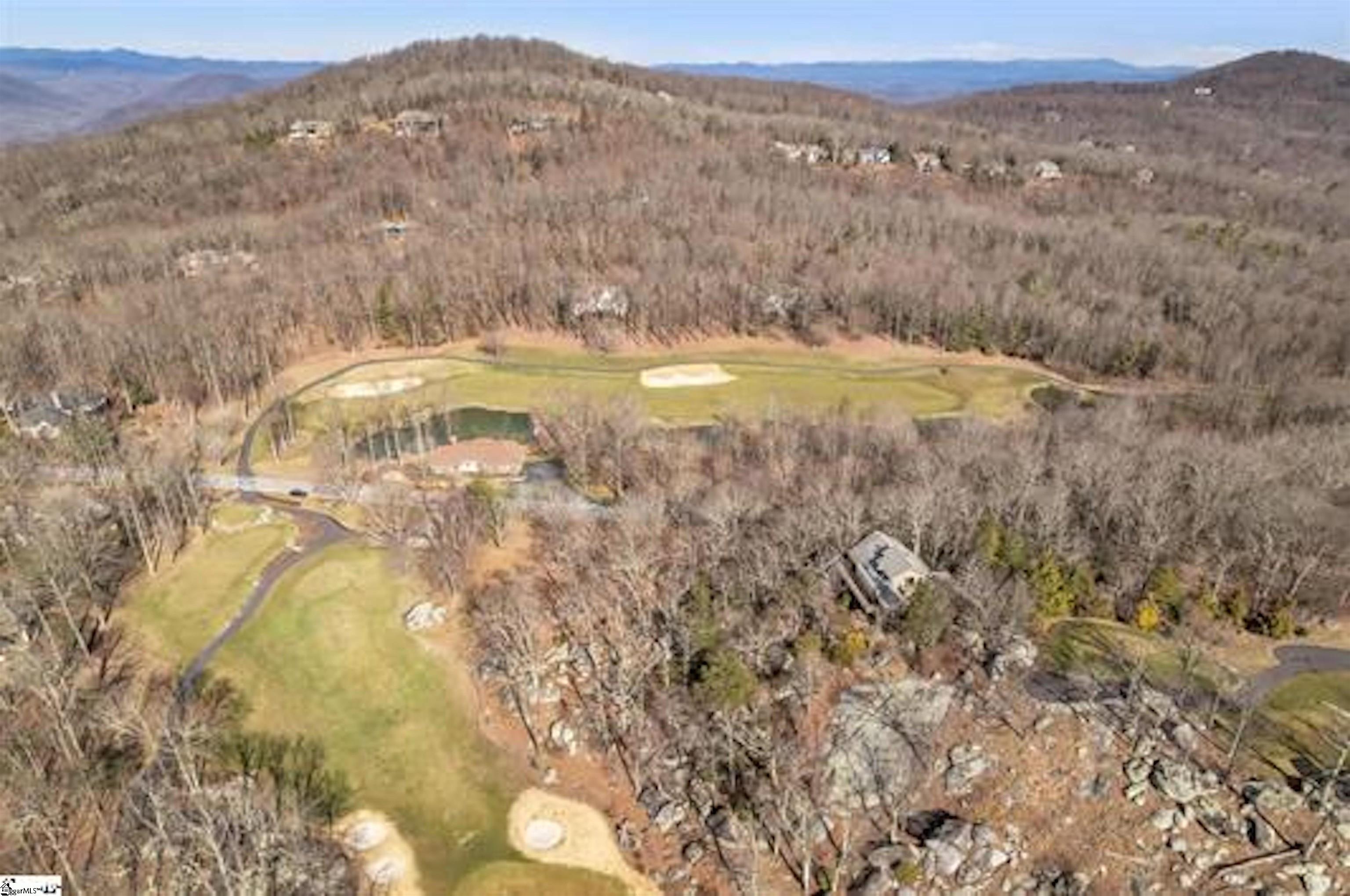 Ridge Road Landrum, SC 29356 - Photo 13 of 18