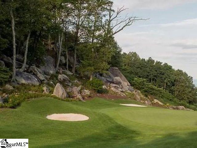 Ridge Road Landrum, SC 29356 - Photo 2 of 18