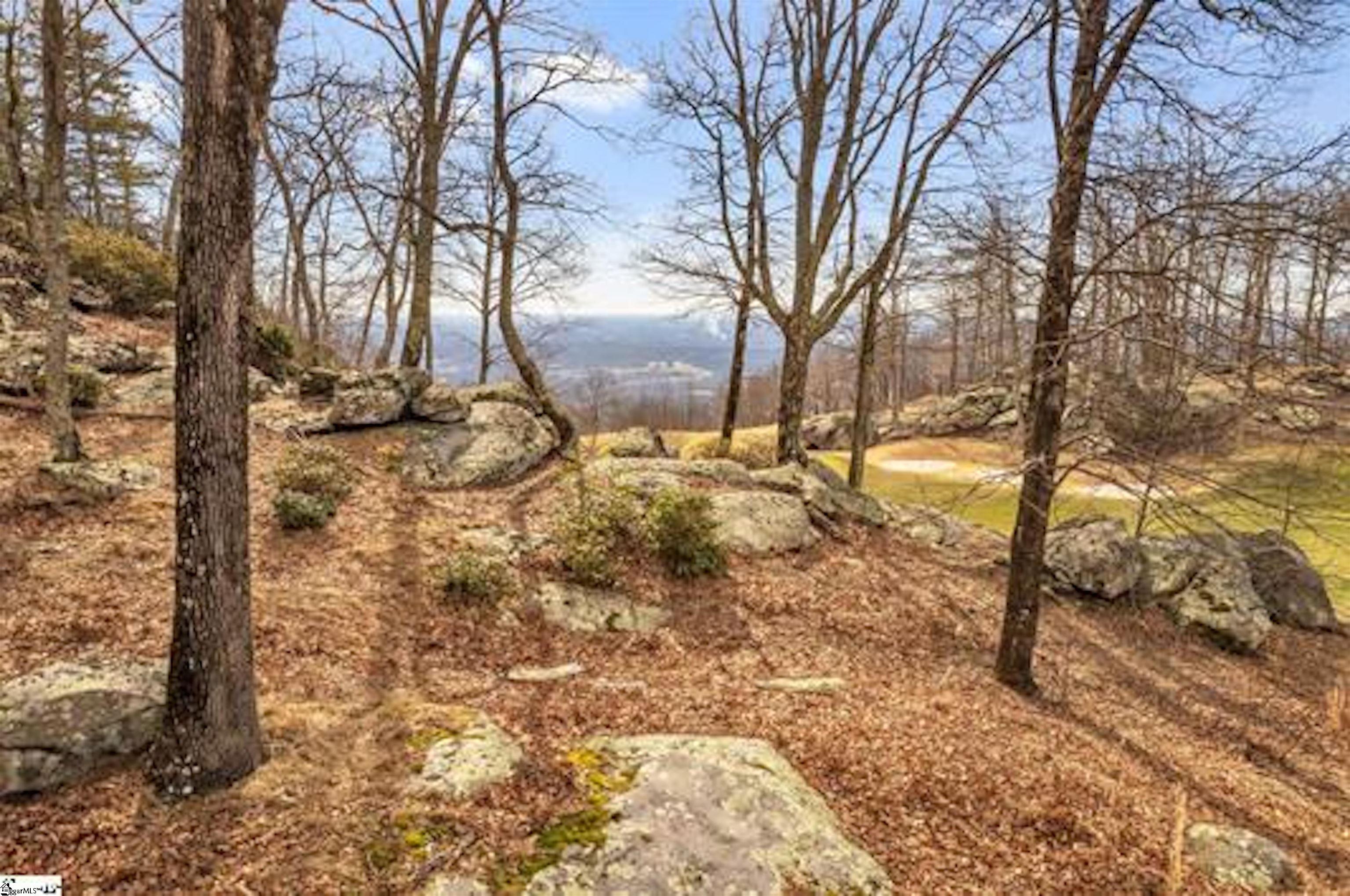 Ridge Road Landrum, SC 29356 - Photo 6 of 18