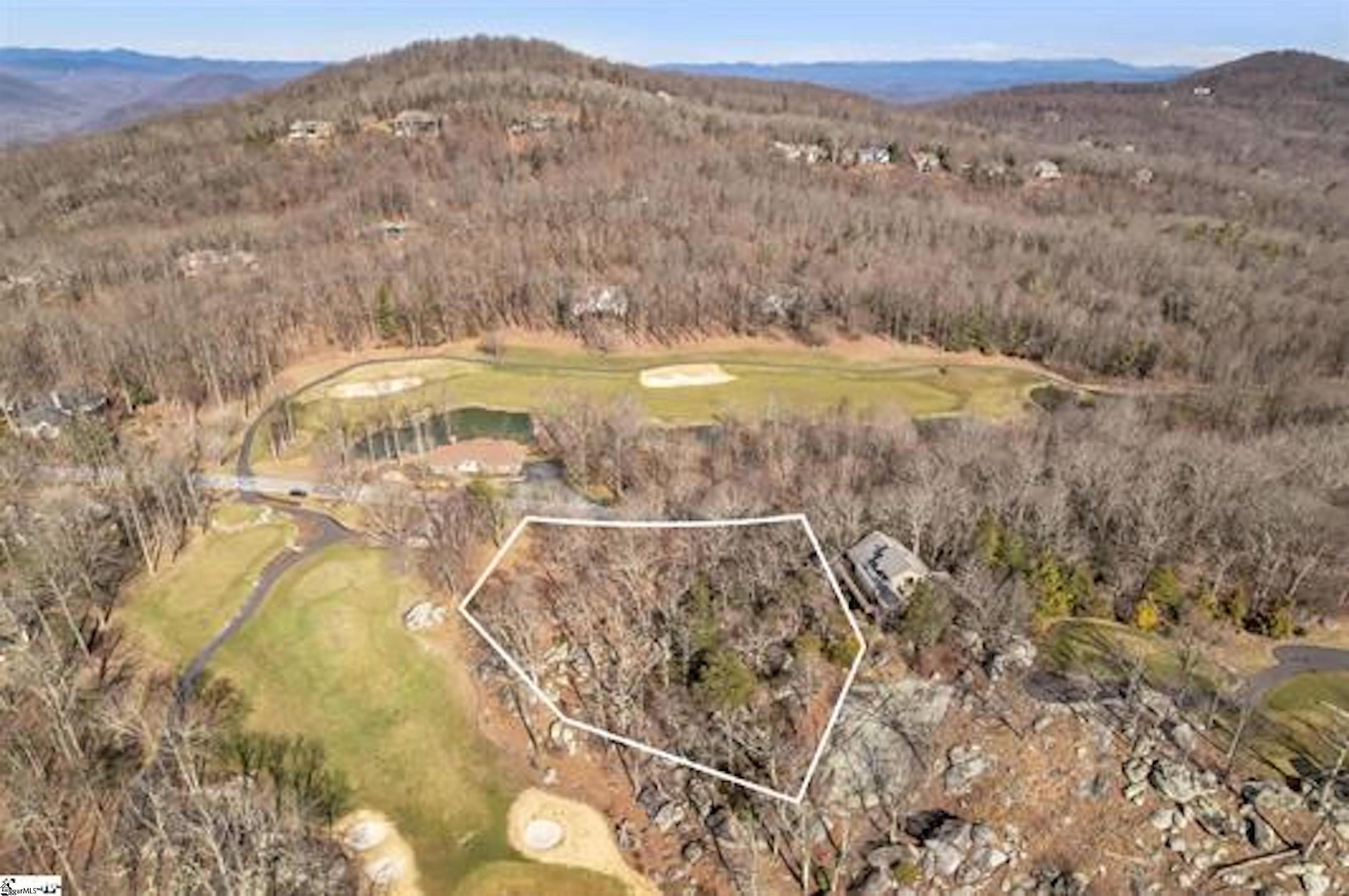 Ridge Road Landrum, SC 29356 - Photo 8 of 18