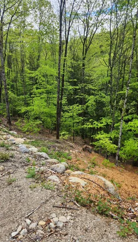 $99,999 | Moulton Road, Freedom, NH 03836