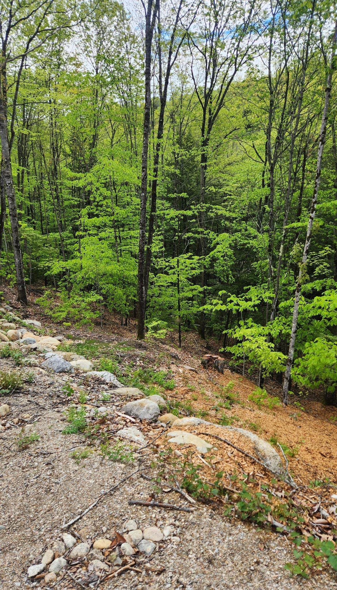 Moulton Road Freedom, NH 03836 - Photo 2 of 7