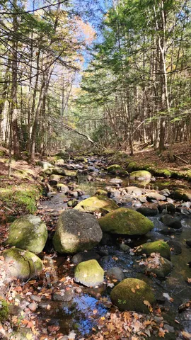 $99,999 | Moulton Road, Freedom, NH 03836