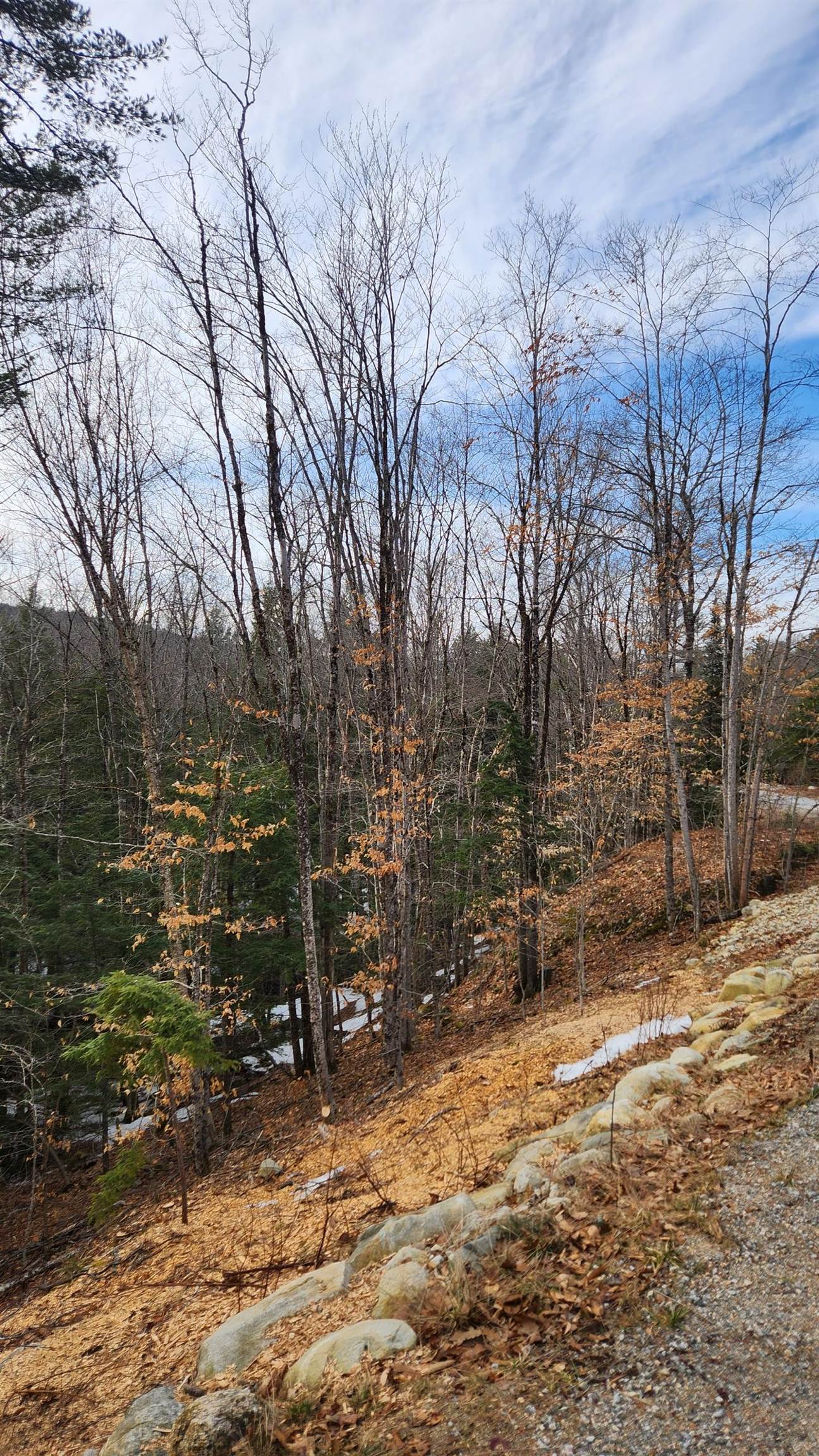 Moulton Road Freedom, NH 03836 - Photo 6 of 7
