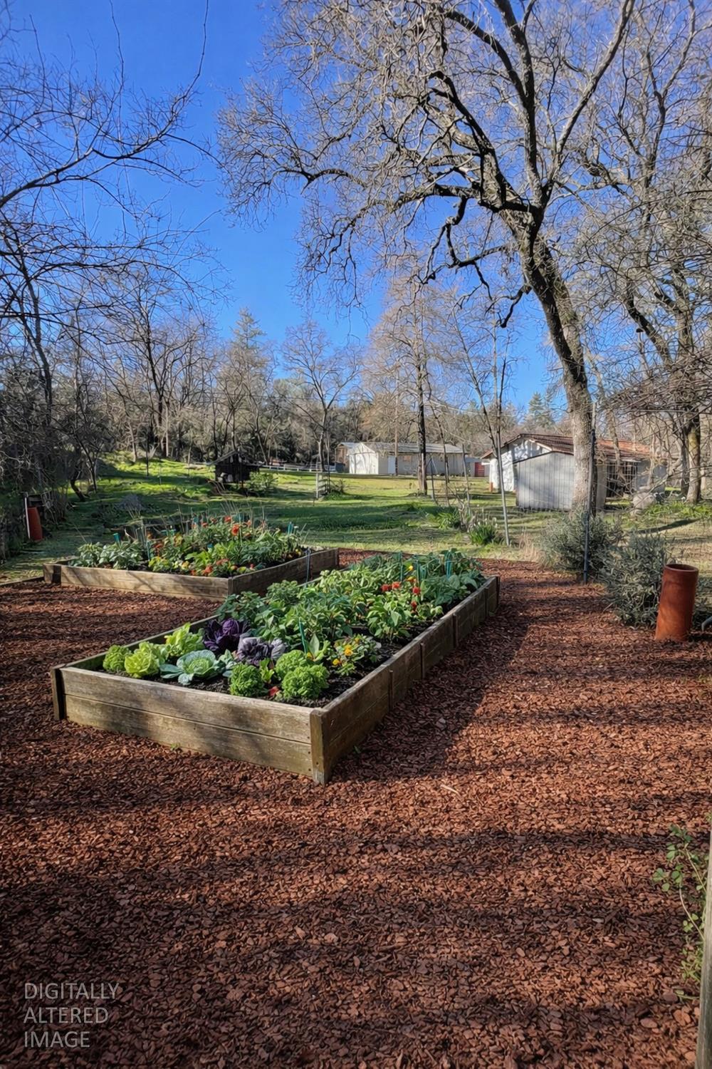 581 Haines Road Auburn, CA 95602 - Photo 21 of 52 Fully fenced garden area with raised beds,firepit, and chicken coop.