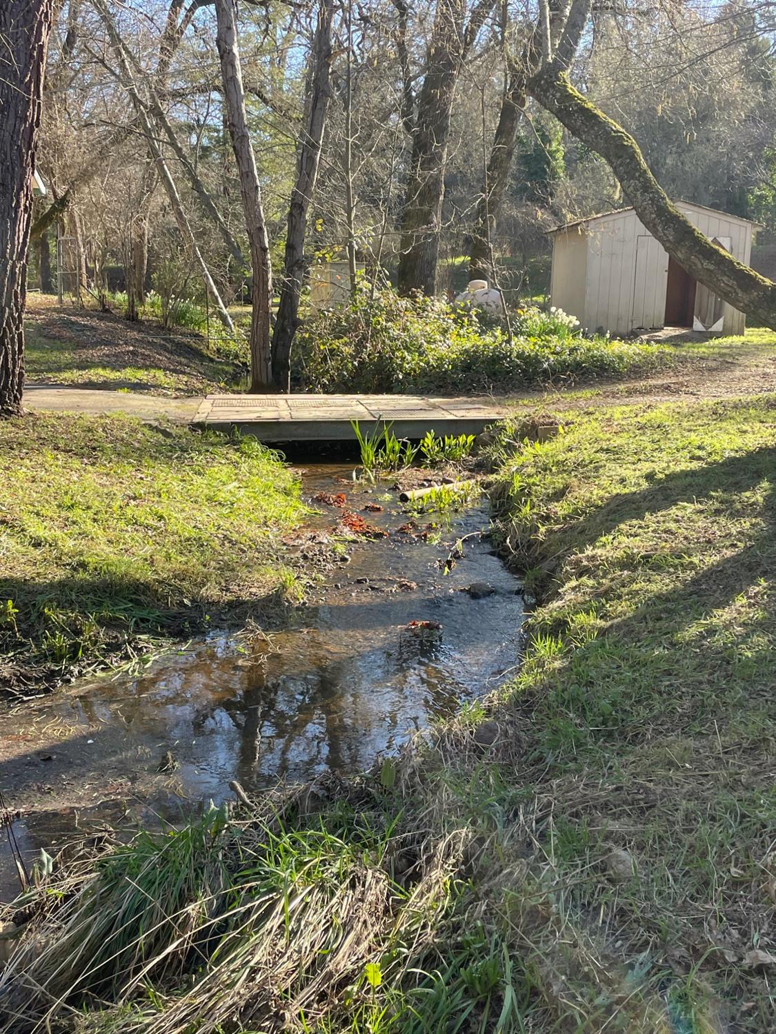 581 Haines Road Auburn, CA 95602 - Photo 23 of 52