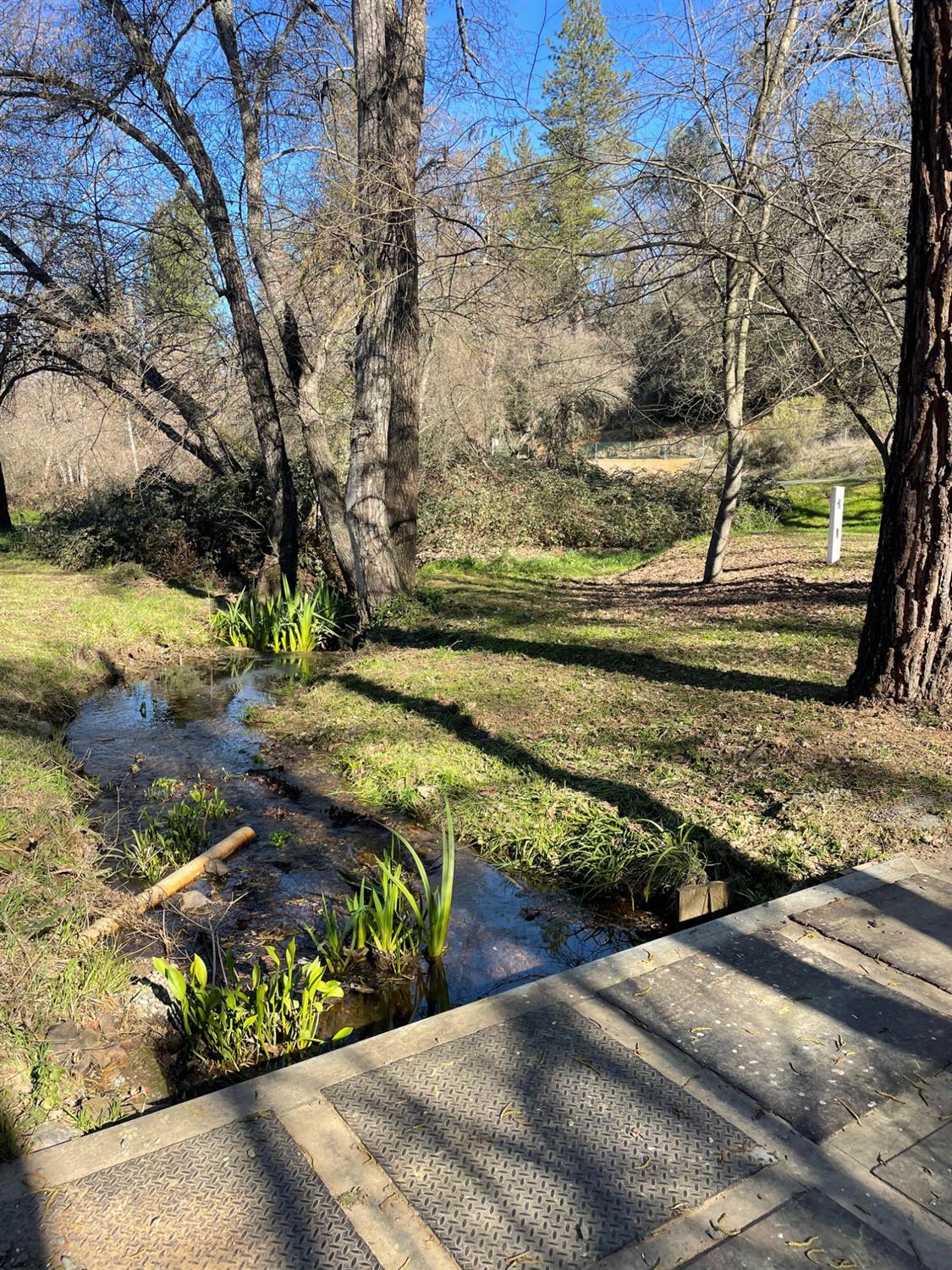 581 Haines Road Auburn, CA 95602 - Photo 24 of 52