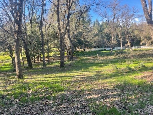 581 Haines Road Auburn, CA 95602 - Photo 32 of 52