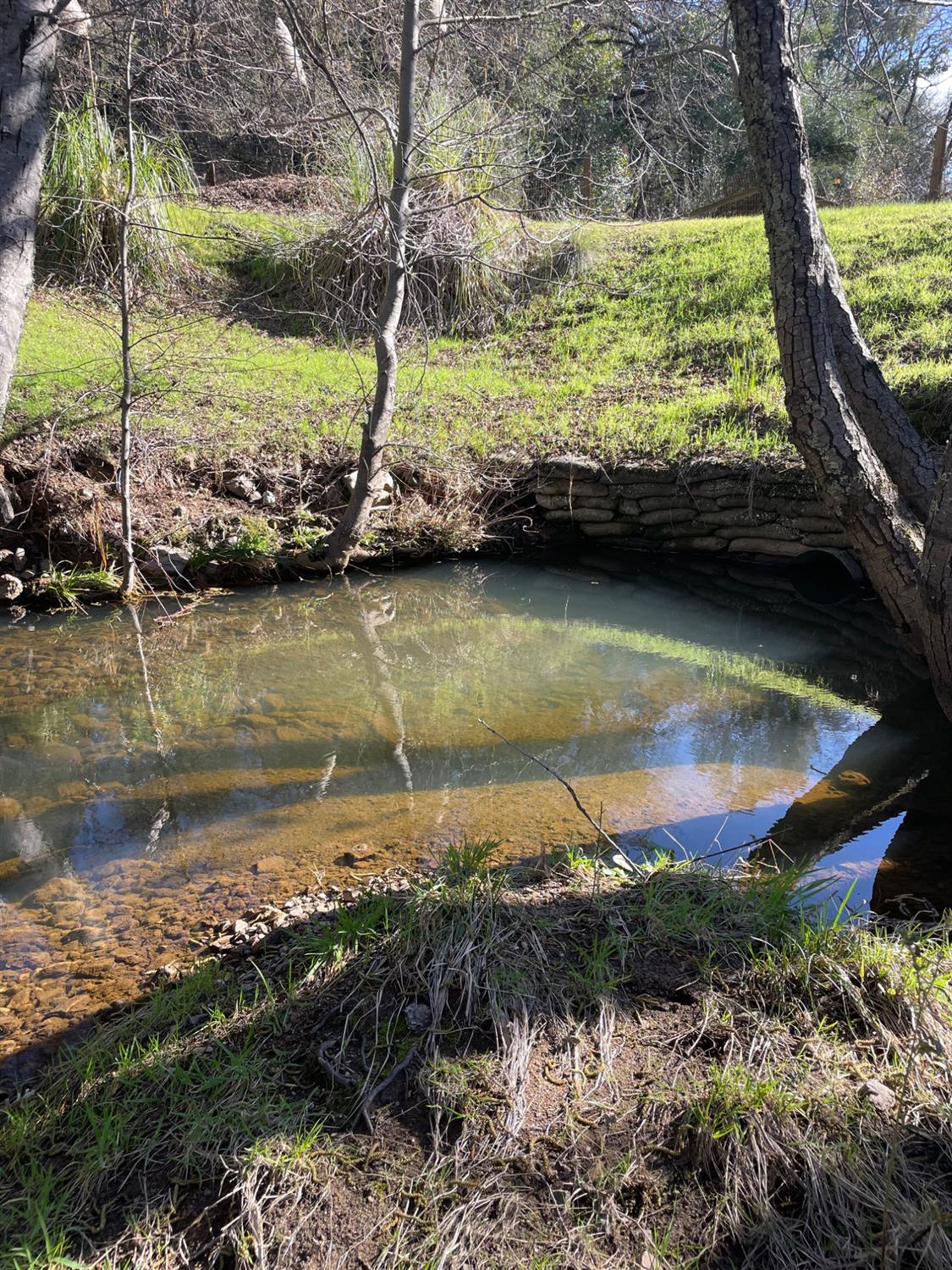 581 Haines Road Auburn, CA 95602 - Photo 33 of 52 Small swimming hole for those hot summer days.