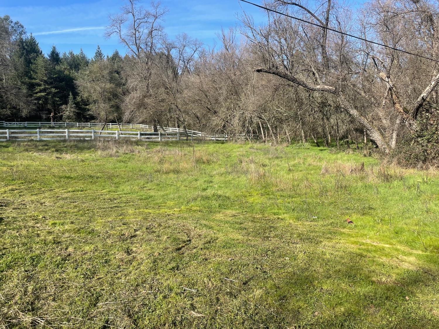 581 Haines Road Auburn, CA 95602 - Photo 49 of 52 Open area of grass behind workshop. Could build a barn or fence for a 2nd pasture.