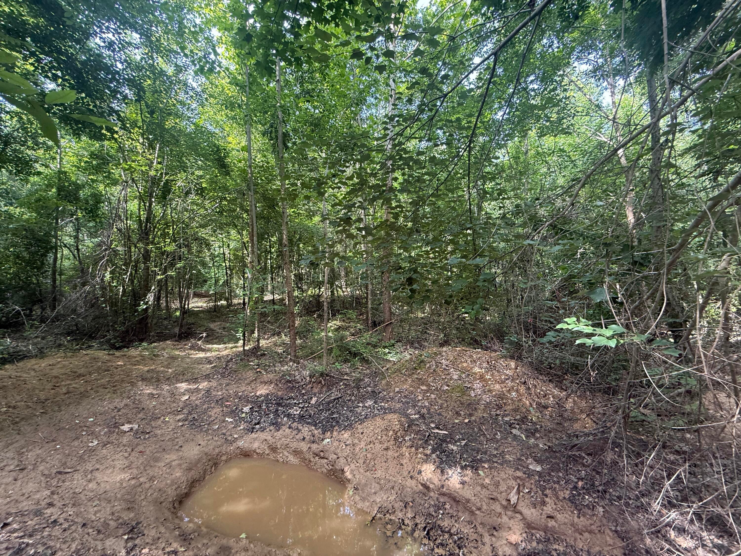 2275 Graham Road Thaxton, MS 38871 - Photo 6 of 17 Gallery Image 6