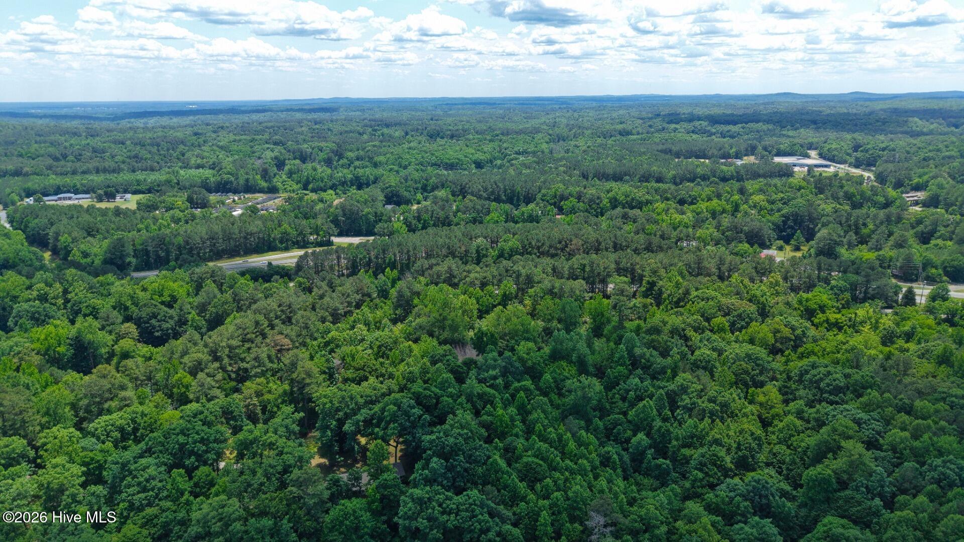 0 Laurel Rdg Road Durham, NC 27705 - Photo 11 of 36