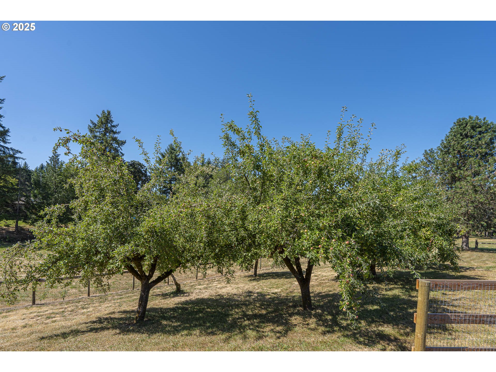 10905 Northeast Renne Road Newberg, OR 97132 - Photo 31 of 48