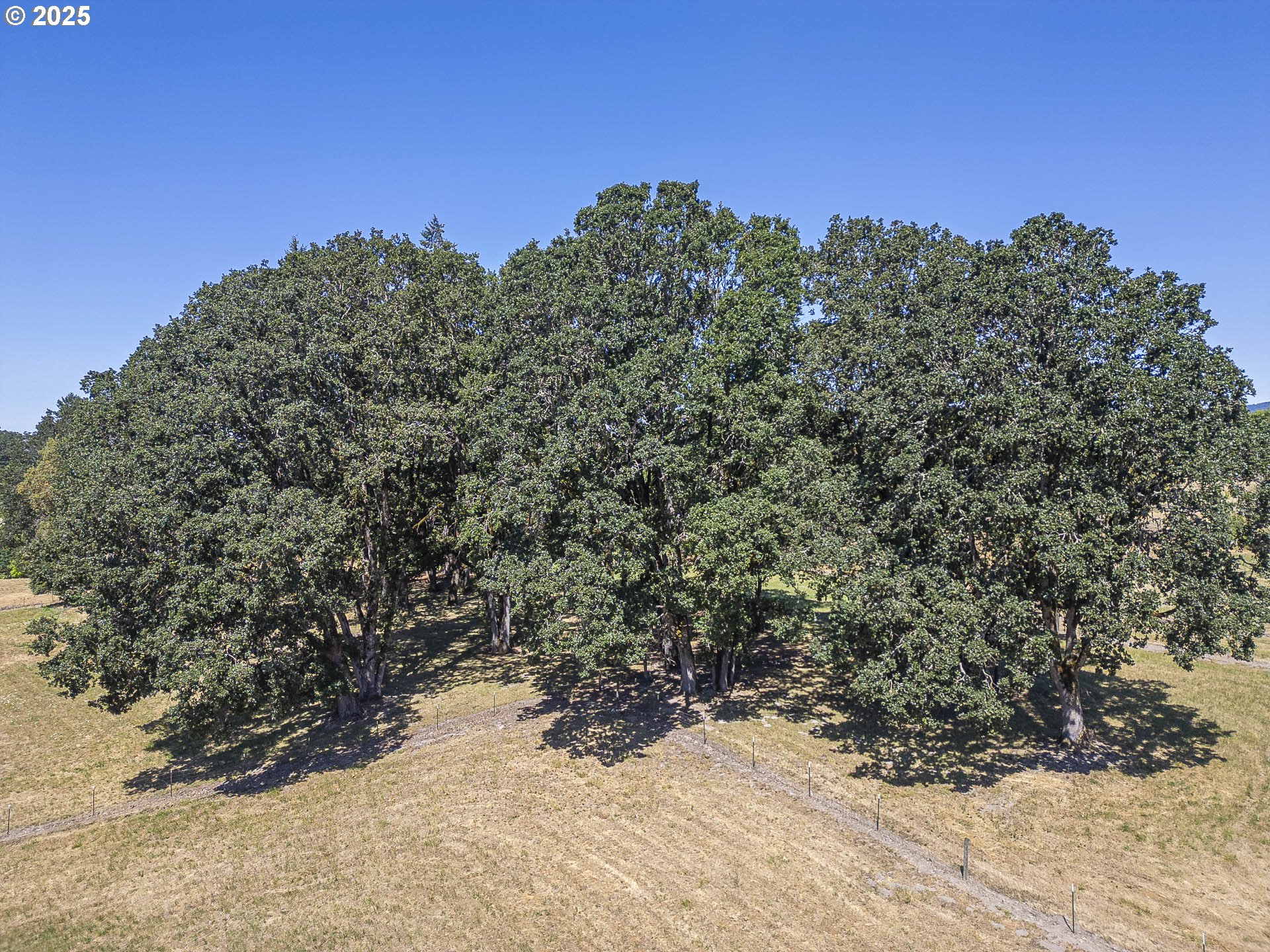 10905 Northeast Renne Road Newberg, OR 97132 - Photo 43 of 48