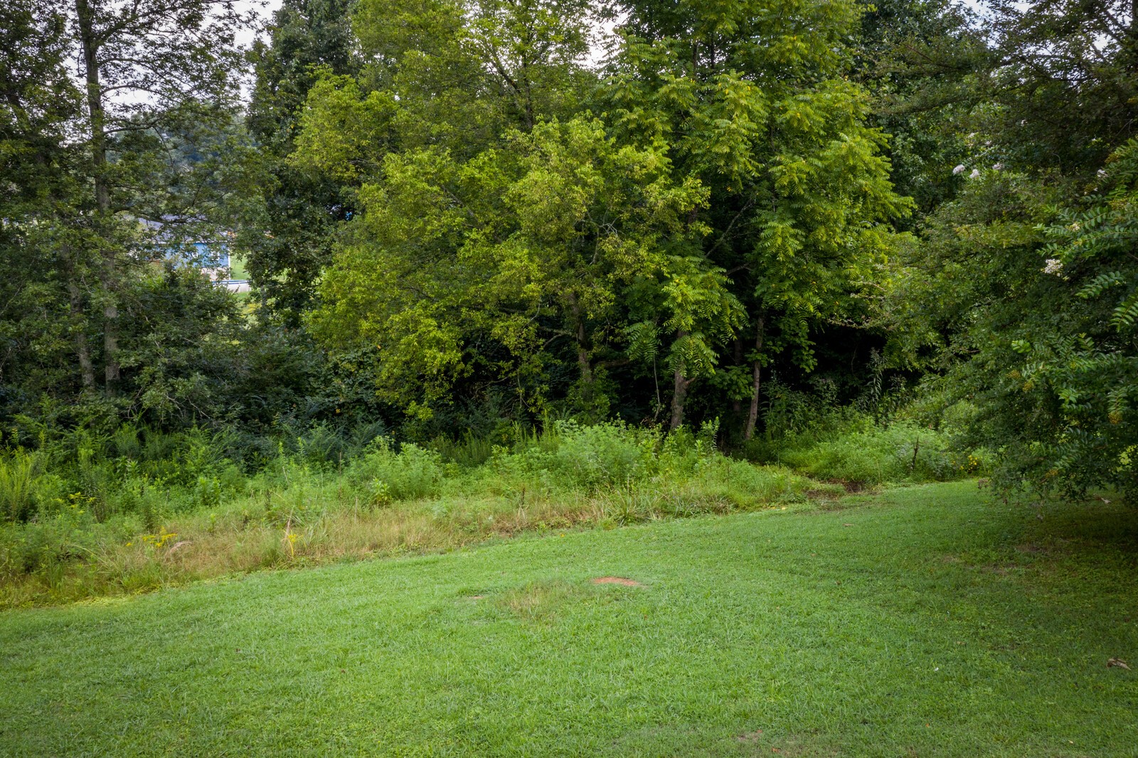 1425 Grays Chapel Road Southside, TN 37171 - Photo 31 of 32 Gallery Image 31