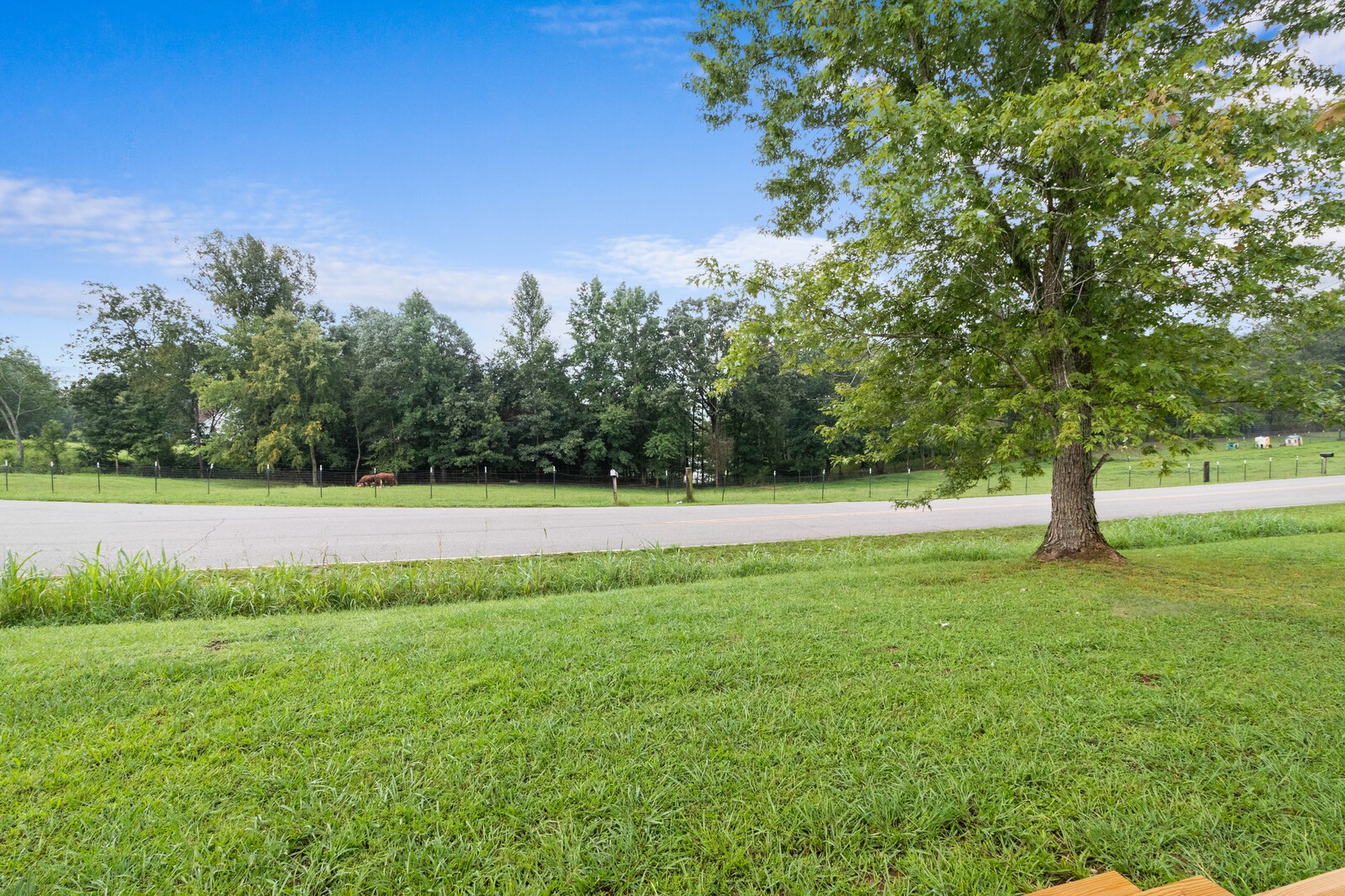 1425 Grays Chapel Road Southside, TN 37171 - Photo 4 of 32 Gallery Image 4