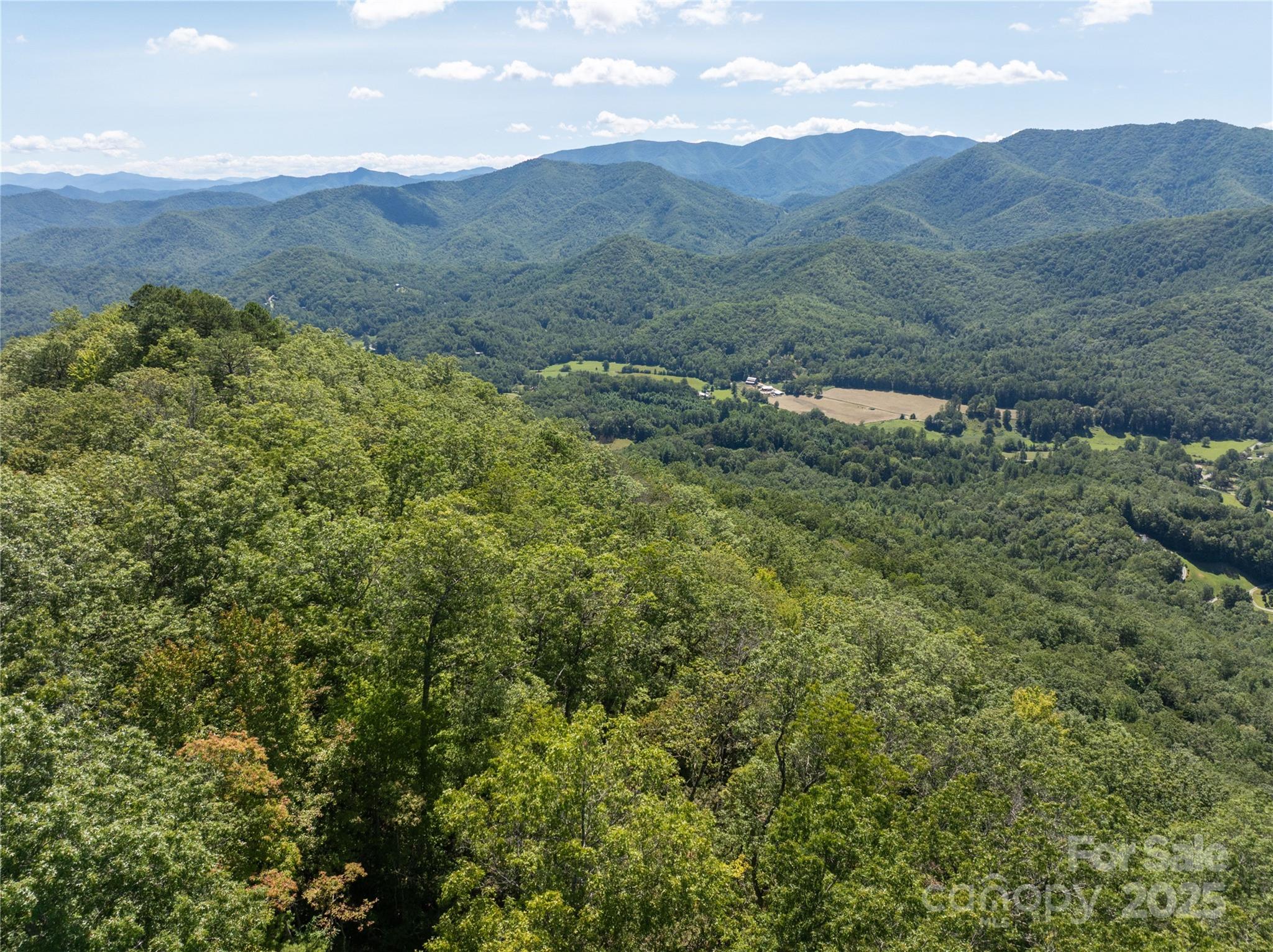 9999 Cindy Cove Road Robbinsville, NC 28771 - Photo 18 of 28