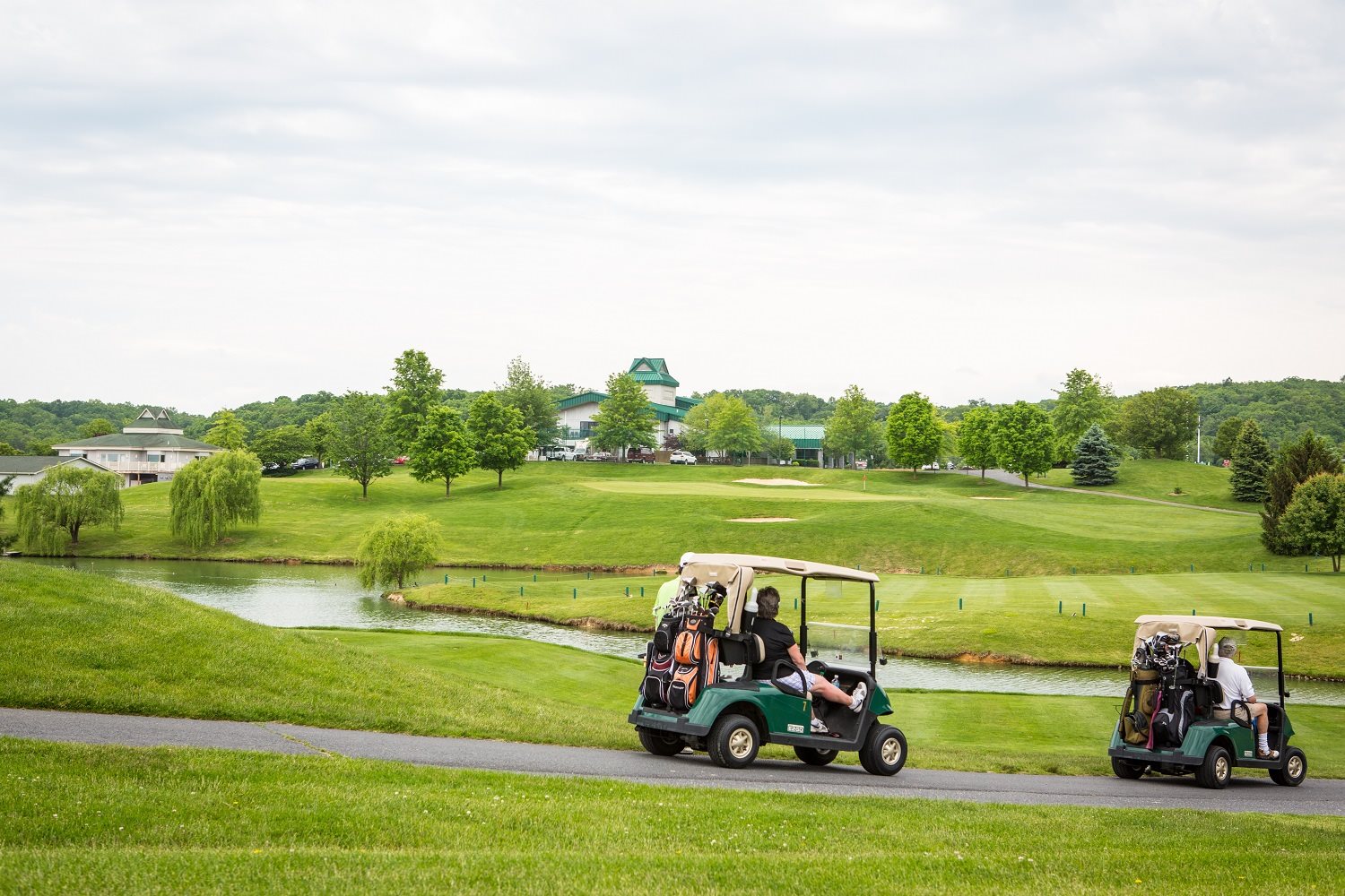 4802 Palmer Road McGaheysville, VA 22840 - Photo 6 of 13 a view of a lake with a big yard and potted plants
