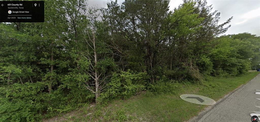 1 County Road Gordonville, TX 76245 - Photo 4 of 5 View of asphalt road