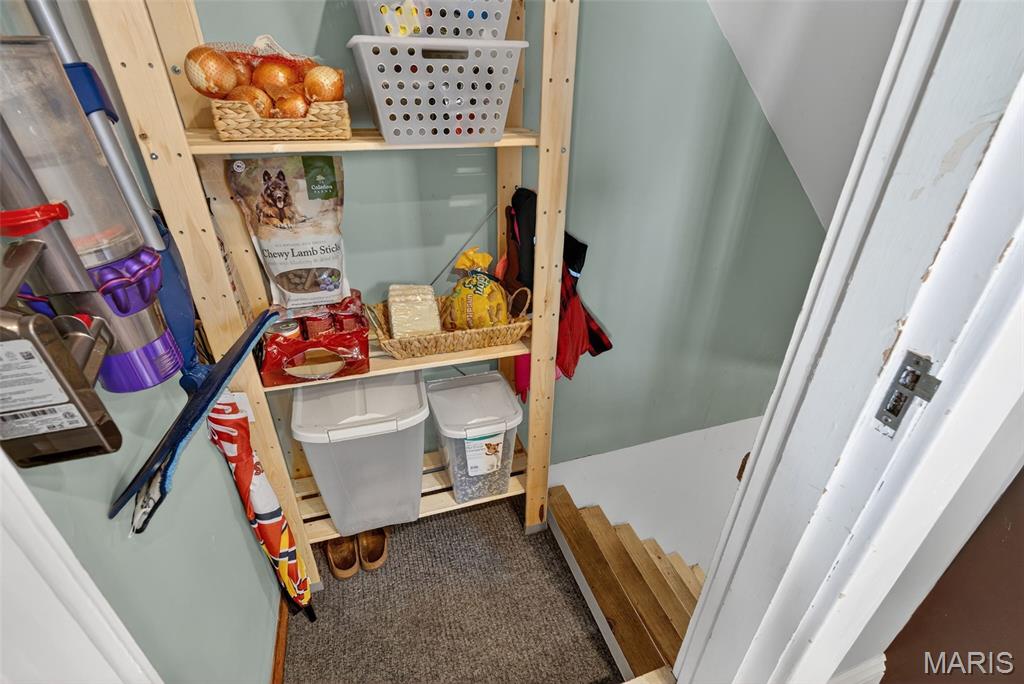 7443 Amherst Avenue St. Louis, MO 63130 - Photo 31 of 51