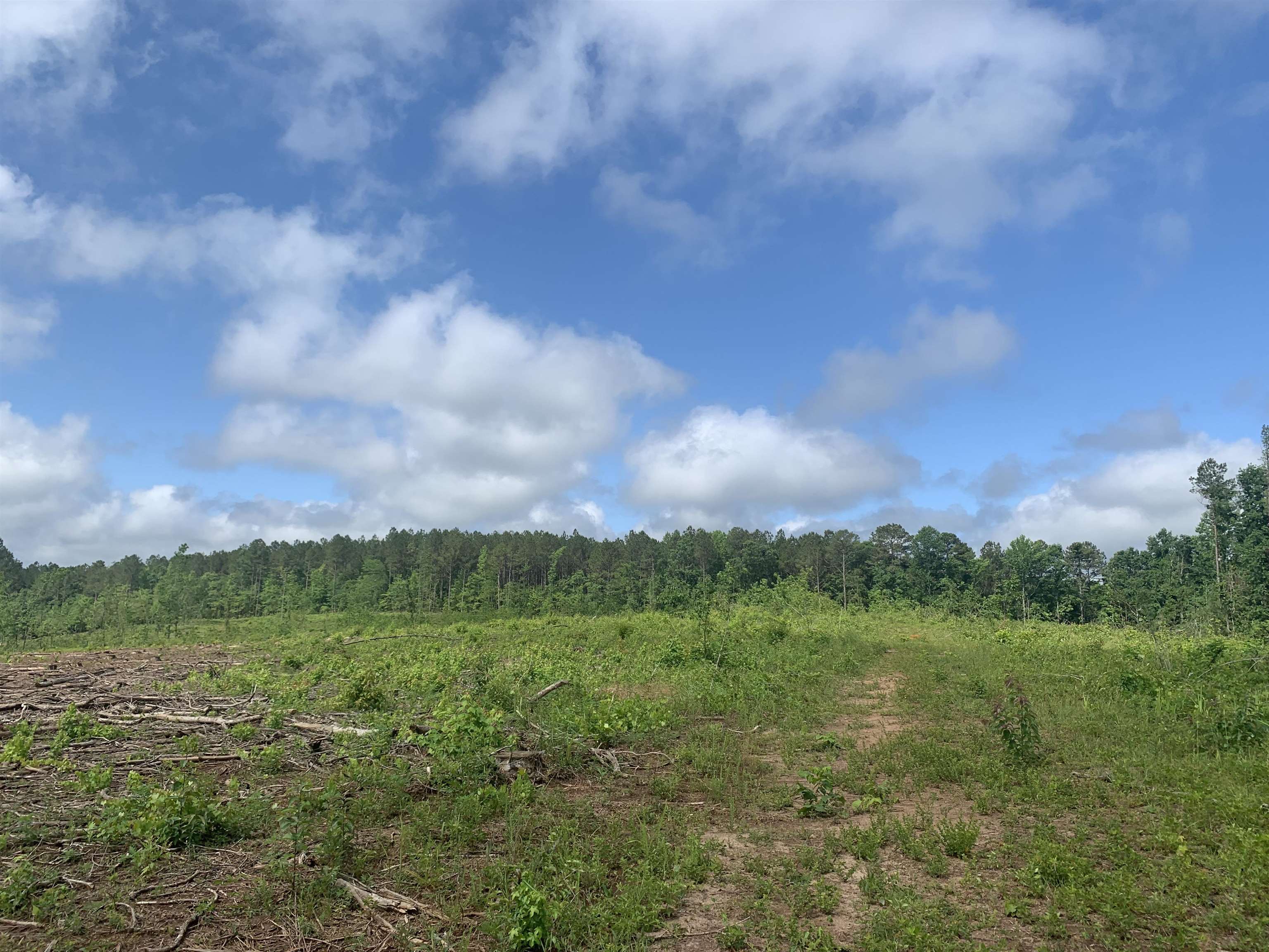 3 Farmington Road Madison, GA 30650 - Photo 1 of 1 a view of a green field with lots of green space