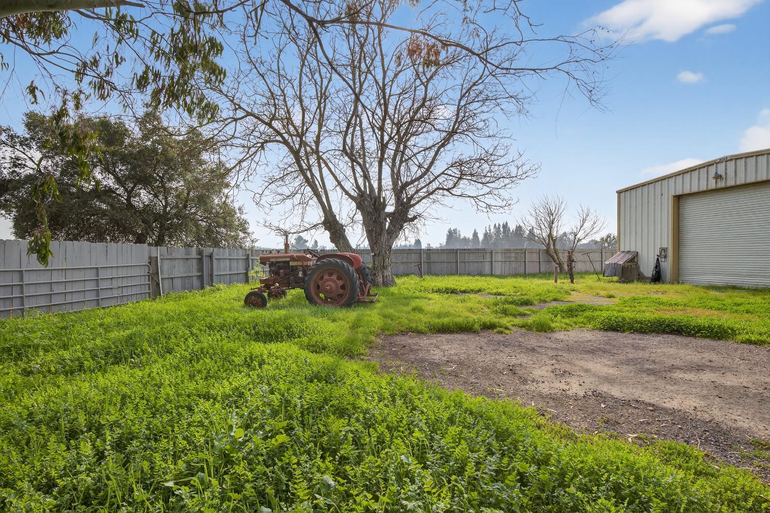 27350 Thornton Road Thornton, CA 95632 - Photo 11 of 27 a view of a backyard with large trees