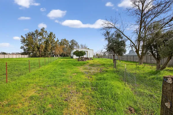 a view of a park with large trees
