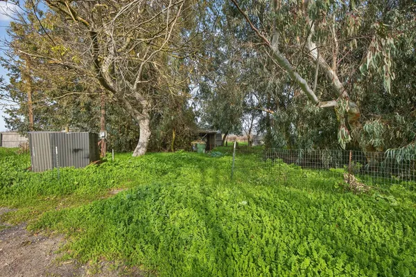 a green field with lots of bushes